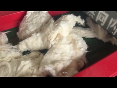 ৮০০এফ মডেল ৬মিমি স্ক্রিন ছিদ্র, কটন কাটিং মেশিন, কাটিং মেশিন ক্রাশার